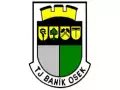 TJ Baník Osek