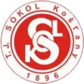 Sokol Košťany
