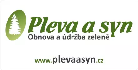 Pleva a syn